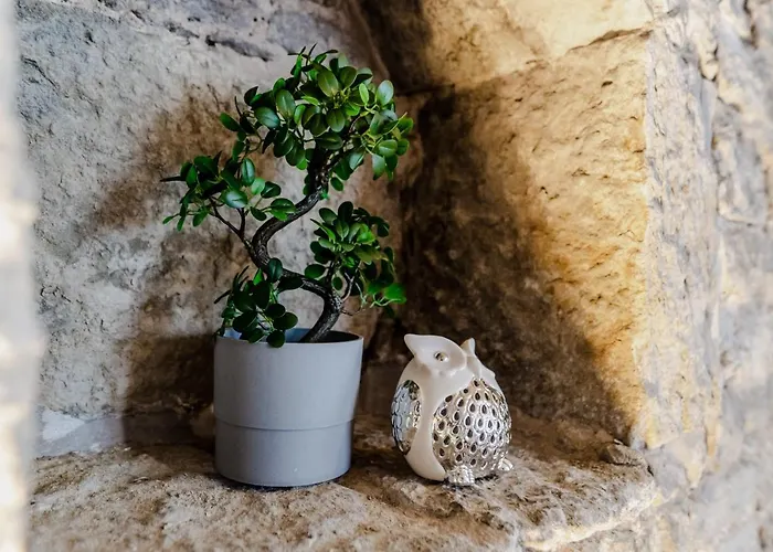 Apartment Dream - Old Town